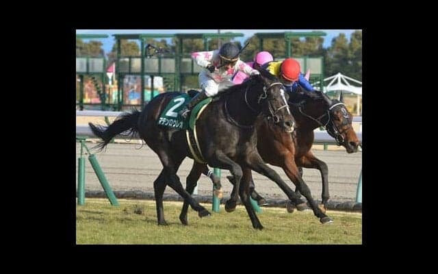マテンロウレオは日高の馬を愛する昆貢調教師が春の大舞台に自信を持って送り込む逸材