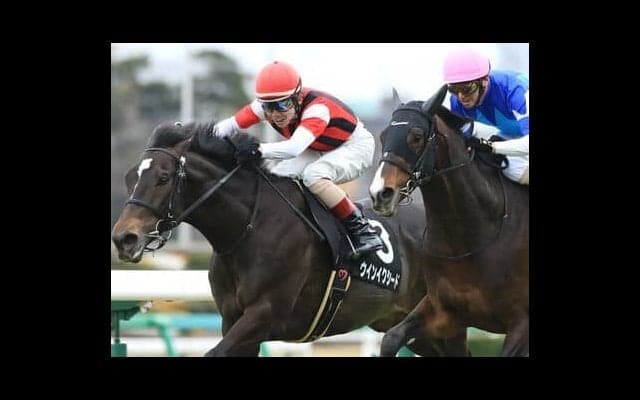 中山記念は例年より小粒なメンバー構成。穴党記者が推す「大穴」２頭が高配当を演出か