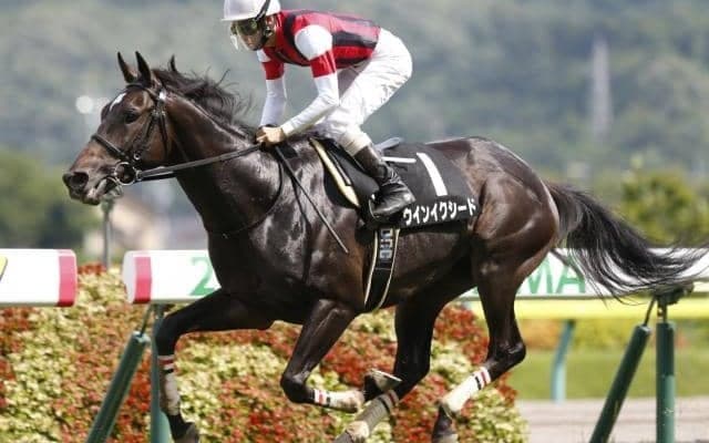 【中山記念予想】1番人気よりは2・3番人気が優勢？ 前走金杯組以外の優勝馬に共通点あり！