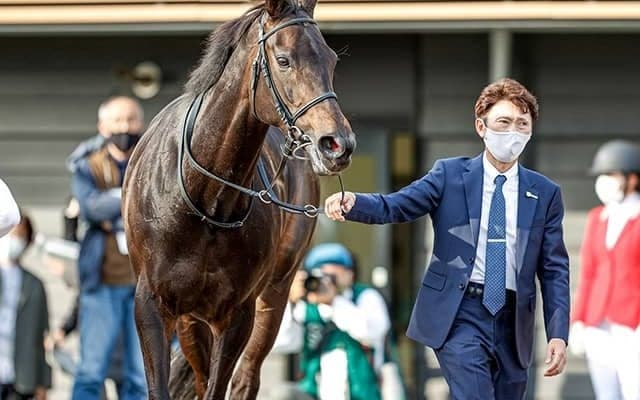 【JRA】藤沢和雄厩舎からの転厩馬一覧、46頭中33頭が蛯名正義厩舎へ