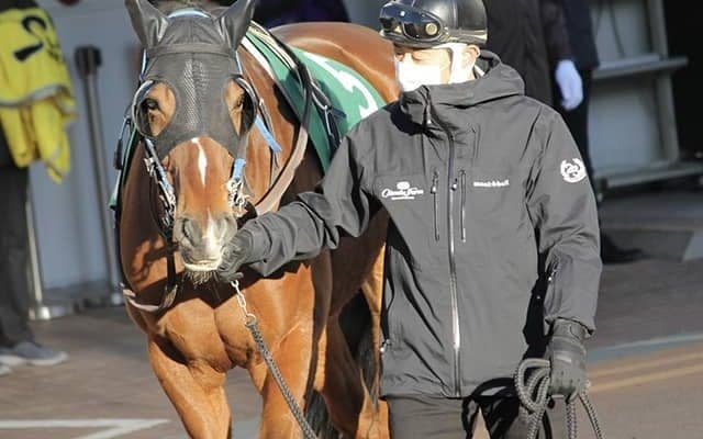 【JRA】柄崎孝厩舎からの転厩馬一覧、15頭中14頭が堀内岳志厩舎へ