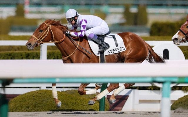 【阪神8R】武豊 ペプチドヒミコが差し切る