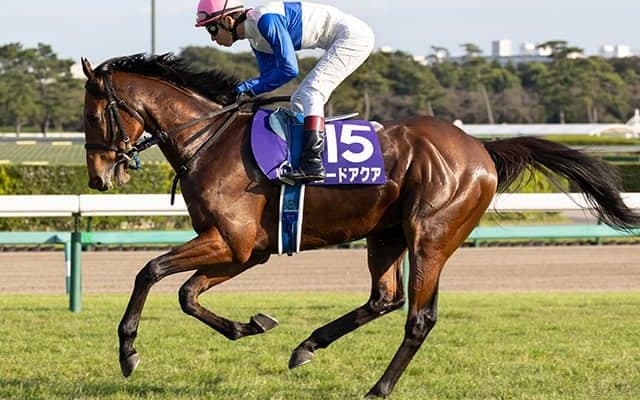 【JRA】浅見秀一厩舎からの転厩馬一覧、36頭中32頭が中村直也厩舎へ