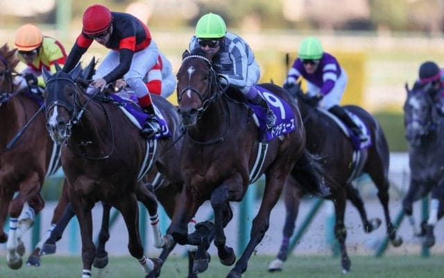 【弥生賞登録馬】無敗のドウデュースが始動 12頭登録