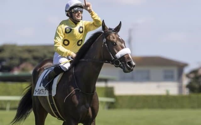 【チューリップ賞見どころ】2歳女王サークルオブライフが4連勝を狙う