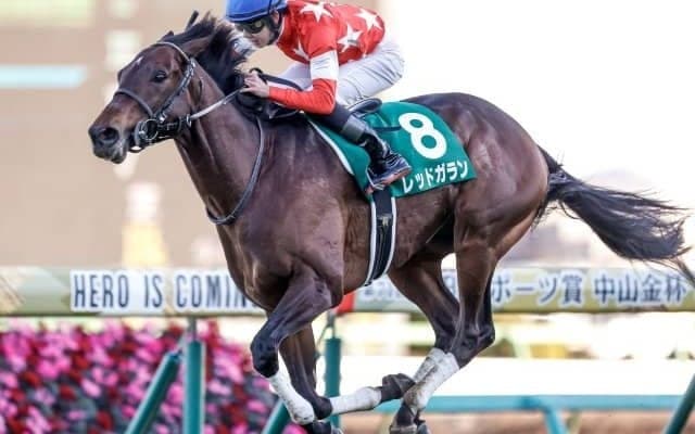 【大阪城Sハンデ確定】レッドガランは57.5kg、カレンシュトラウスは55.0kg