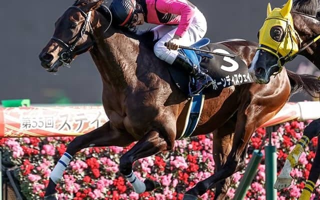 【AI予想・弥生賞】重賞連勝のAIが穴狙い!? 人気の盲点を突いた「妙味ある馬」とは