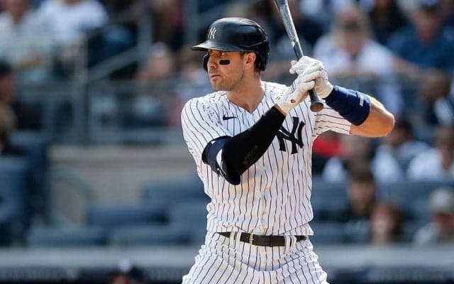 【MLB】ヤンキース大砲が長引くロックアウトで求人サイト登録　スキルは「三振すること」