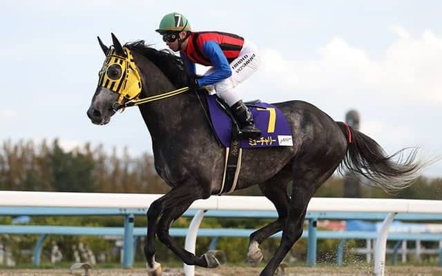 フェブラリーS10着のミューチャリーはマーチSを視野に調整