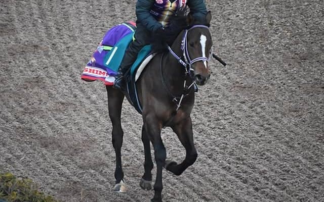 ゴッドフェニックスの2020など、先週の入厩情報/栗東トレセンニュース