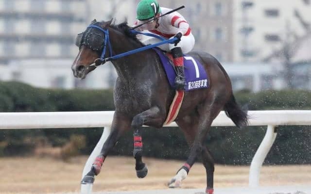 【名古屋・若草賞結果】高知のアンティキティラが人気に応えて重賞連勝