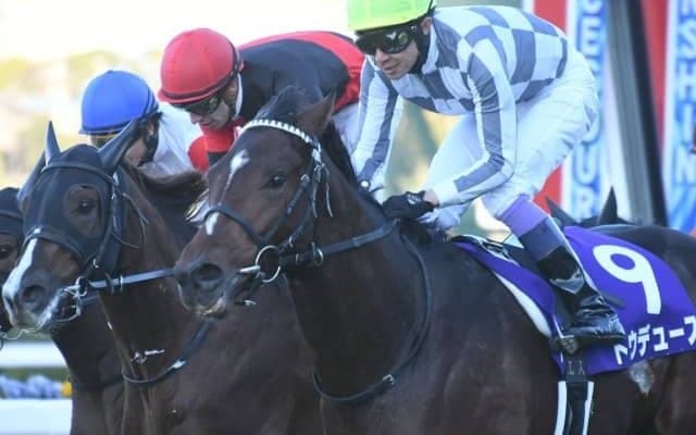 【弥生賞ディープ記念予想オッズ】2歳王者ドウデュースが予想1番人気