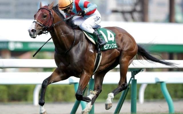 【オーシャンS予想オッズ】重賞3勝馬ビアンフェが予想1番人気