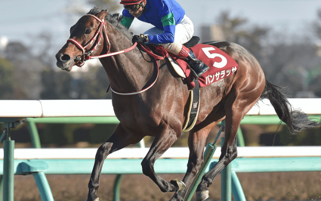 種牡馬ランキング1位の勢いそのまま ロードカナロア産駒が両重賞制覇