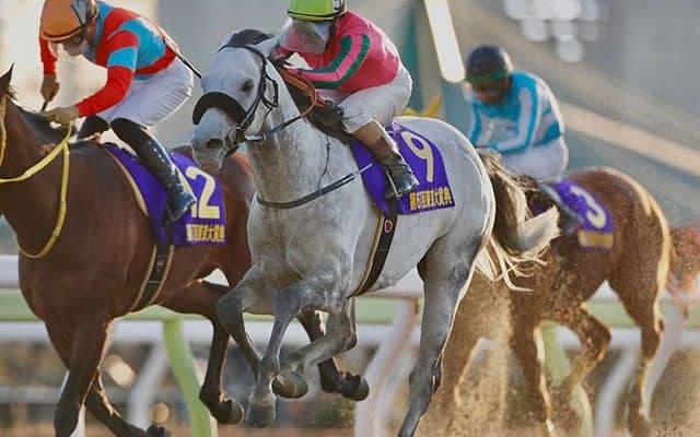 東京大賞典は1億円、帝王賞は8000万円に増額など　令和4年度南関東重賞の賞金等が決定