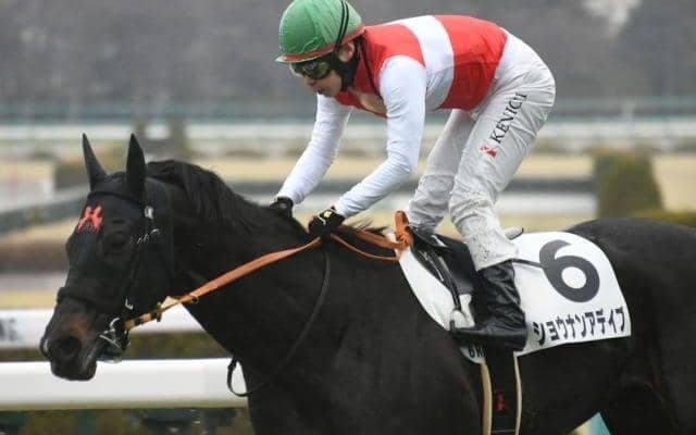 【次走】5億円ホース・ショウナンアデイブは池添騎手で若葉Sへ