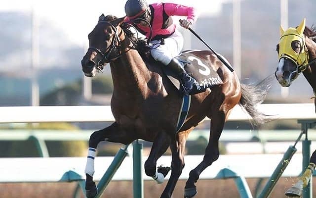 今年の弥生賞は割り切って穴を狙うべし!? AIが指名した“オッズが魅力的な伏兵馬”とは？