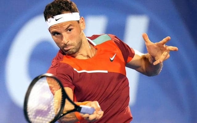 “サウナー”ディミトロフがサウナ＆プールの動画を投稿「リカバリーとリロード」