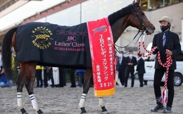 【JRA】テオレーマが引退、繁殖馬に　昨年のJBCレディスクラシック覇者