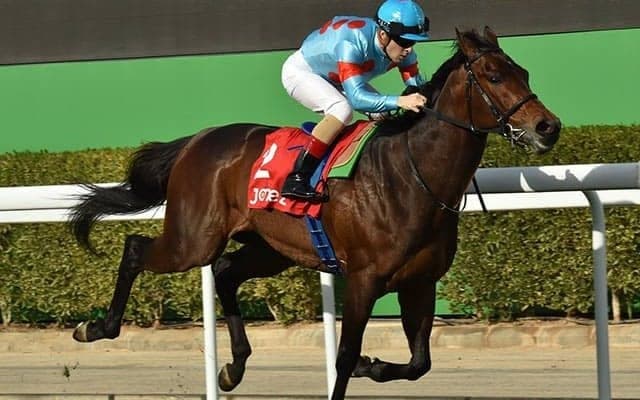オーソリティ、ステイフーリッシュなど　サウジカップデー出走の日本馬7頭がドバイへ到着