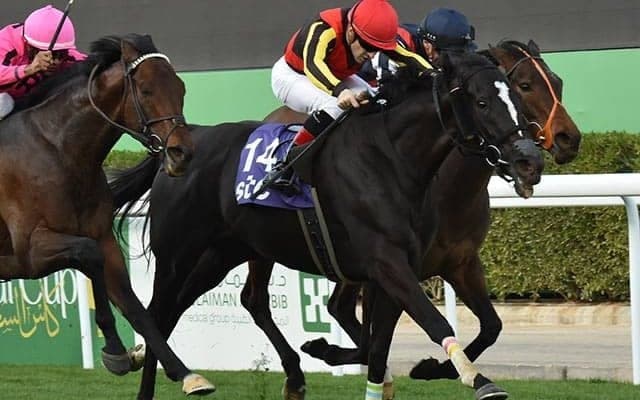 ソングライン、ダンシングプリンスなど　サウジ遠征・日本馬5頭が帰国