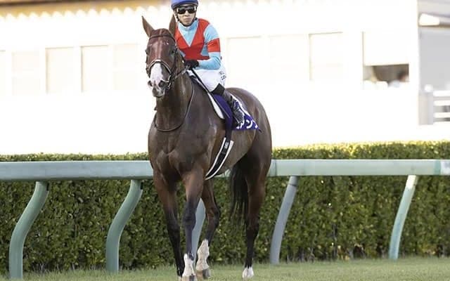 【オーシャンS想定騎手】ビアンフェは藤岡佑介騎手、ナランフレグは丸田恭介騎手