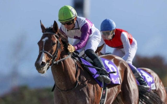 テオレーマが競走馬登録抹消