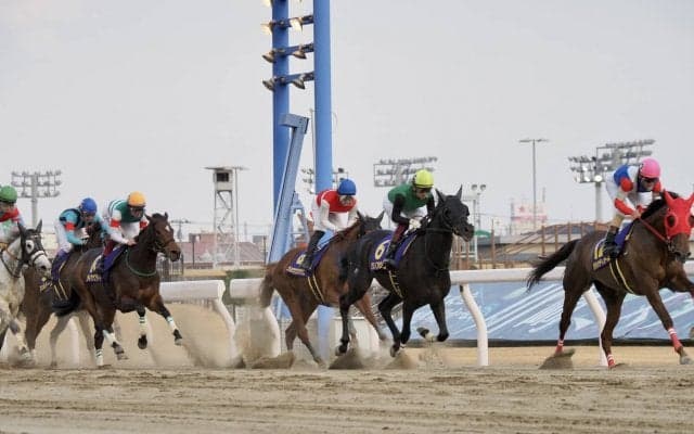 【エンプレス杯】岩田望「小回りは良くないのかも」レース後ジョッキーコメント