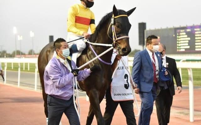 【次走】コパノキッキングはビュイック騎手でドバイゴールデンシャヒーンへ