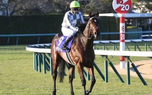 【弥生賞ディープ記念出走馬・騎手確定】ドウデュース＆武豊騎手、マテンロウレオ＆横山典弘騎手など11頭