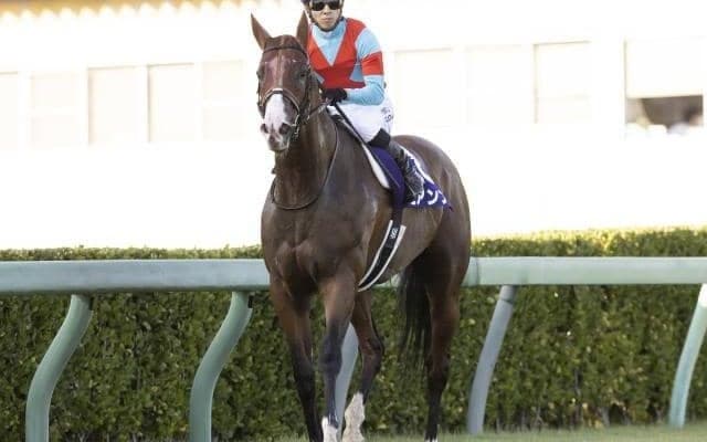 【オーシャンS出走馬・騎手確定】ビアンフェ＆藤岡佑介騎手、ナランフレグ＆丸田恭介騎手など15頭