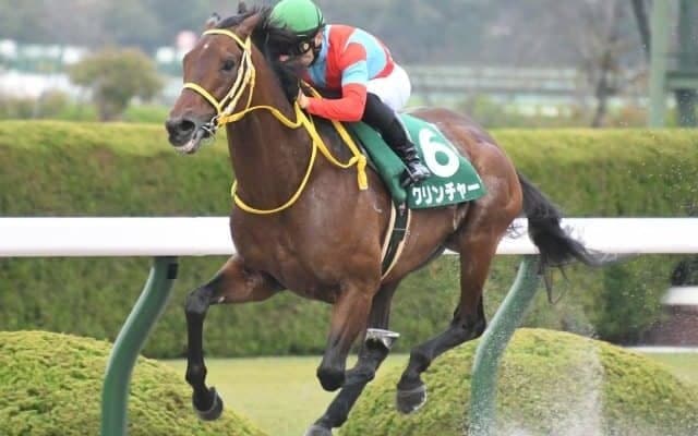 【名古屋大賞典出走予定馬】当地最後の重賞にクリンチャー、アナザートゥルースら