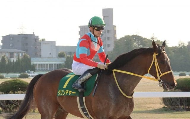 【名古屋大賞典】JRA出走予定馬