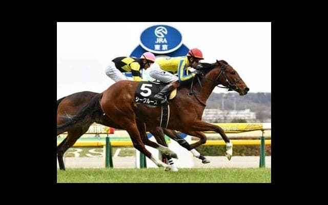 堅い決着が多いチューリップ賞だが、今の馬場なら浮上が見込めるヒモ穴馬が２頭いる