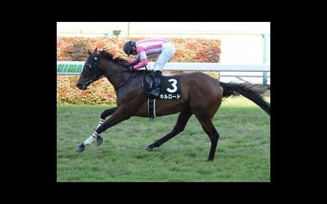 オーシャンＳに面白いメンバーが集結。激しい先行争いの直後に構える人気薄馬に一発の期待