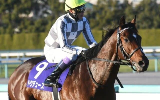 【弥生賞ディープ記念枠順確定】ドウデュースは6枠7番、マテンロウレオは5枠5番
