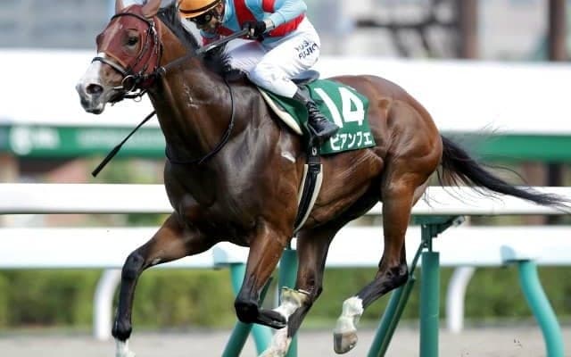 【オーシャンS枠順確定】ビアンフェは8枠14番、スマートクラージュは2枠2番