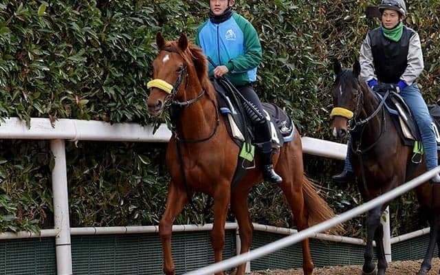 【JRA】今週デビューを迎える新人騎手の騎乗馬一覧　今村聖奈騎手は10鞍、大久保友雅騎手は6鞍など　