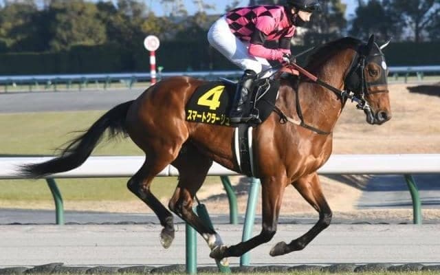 【オーシャンS予想】同じ距離でも高松宮記念とは求められるモノが違う一戦 