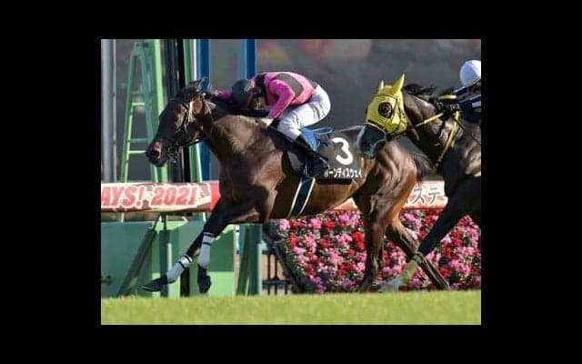 今年絶好調の「過去データ」。弥生賞でも２歳王者を脅かす穴馬候補を４頭導き出した