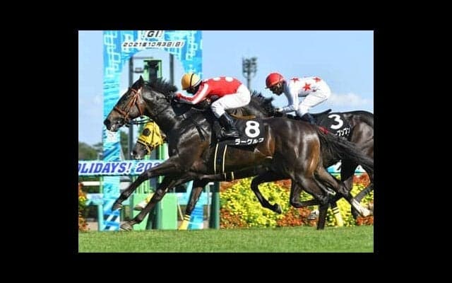 弥生賞は血統から「中山・芝2000ｍ」の適性を見る。サウジカップ開催で２勝した旬の血統にも期待