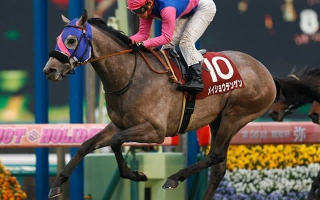 【弥生賞予想】気温から導く激走予報！ 過去傾向に合致する穴馬は「この3頭」