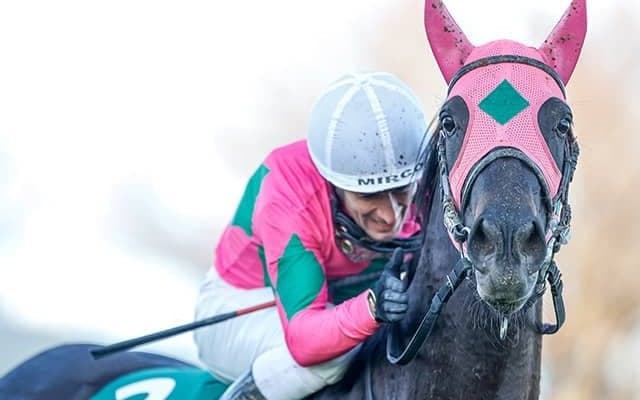 【中山牝馬S想定】ターコイズS覇者ミスニューヨーク、愛知杯覇者ルビーカサブランカなど17頭