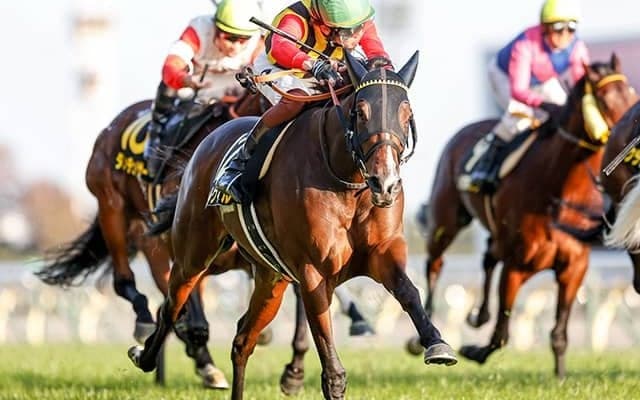 【海外競馬】仏ダービー馬ルアーヴル死す、主戦のルメール騎手も追悼