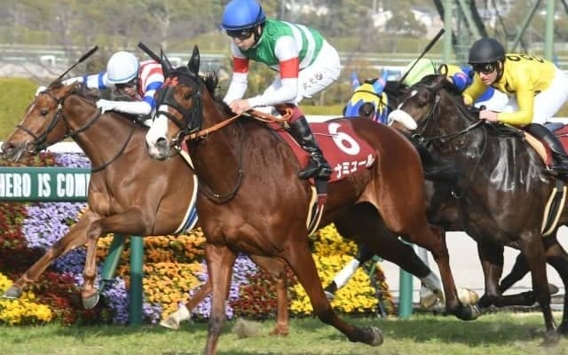 【チューリップ賞結果】1番人気ナミュールがV　2着に大穴ピンハイ激走、馬連563倍の波乱