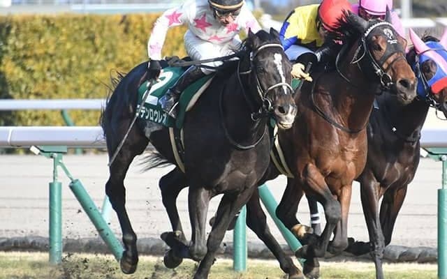 【弥生賞予想】反動は大丈夫!? 詰まった間隔「あの人気馬」に一抹の不安