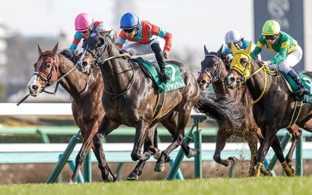 【弥生賞予想】数字だけを見ると前有利ではあったが…/万哲の馬場予報