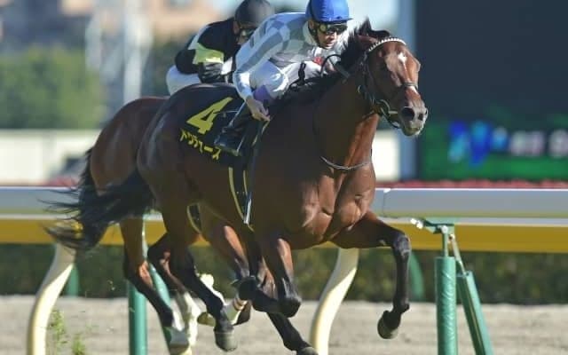 【WIN5予想】弥生賞は臨戦過程と血統が重要なポイント