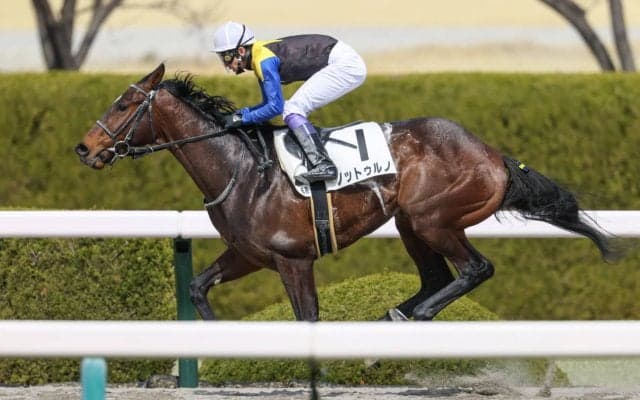 【阪神6R】武豊 ノットゥルノが連勝