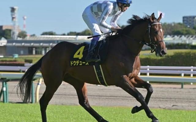 【弥生賞予想】素質馬集うクラシックへ向けた若駒たちの注目の一戦